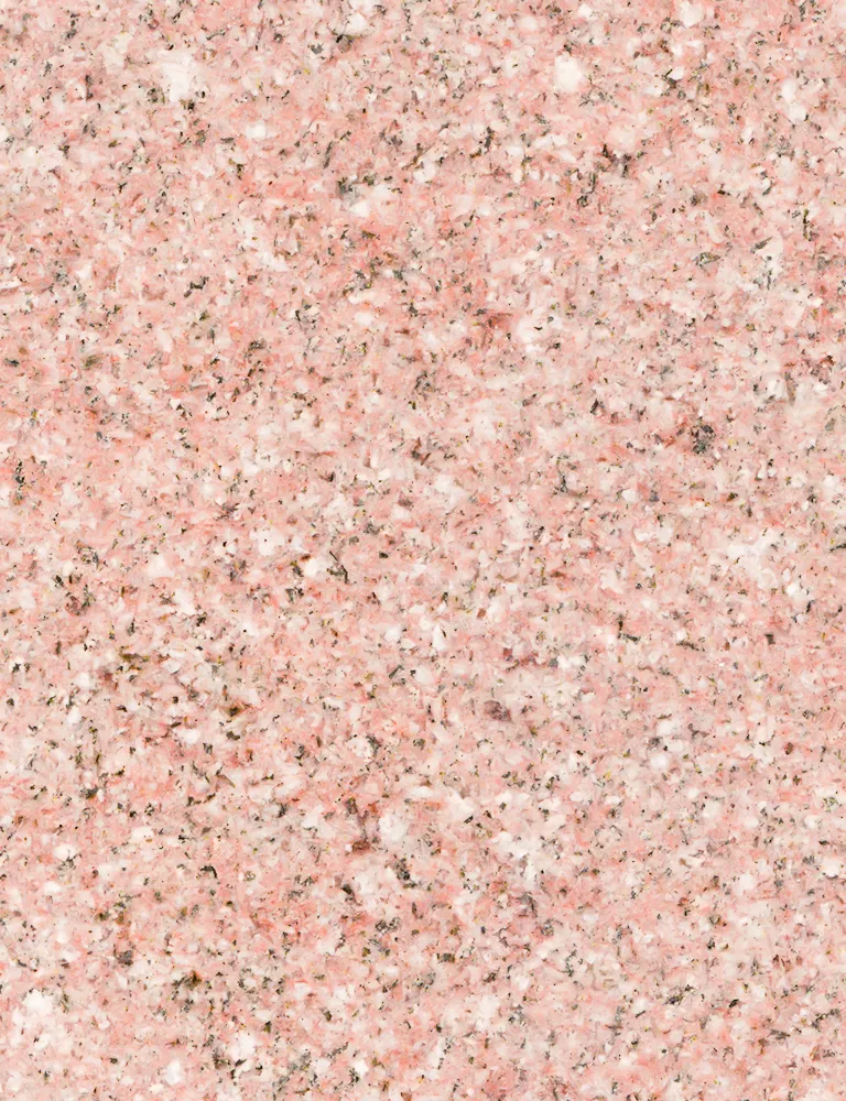 インド八重桜
