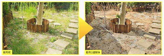 除草剤
